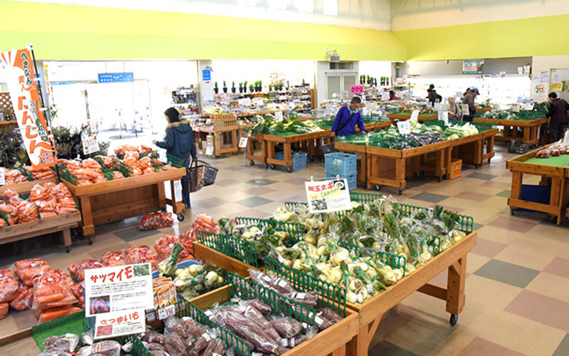 Agricultural Powerhouse